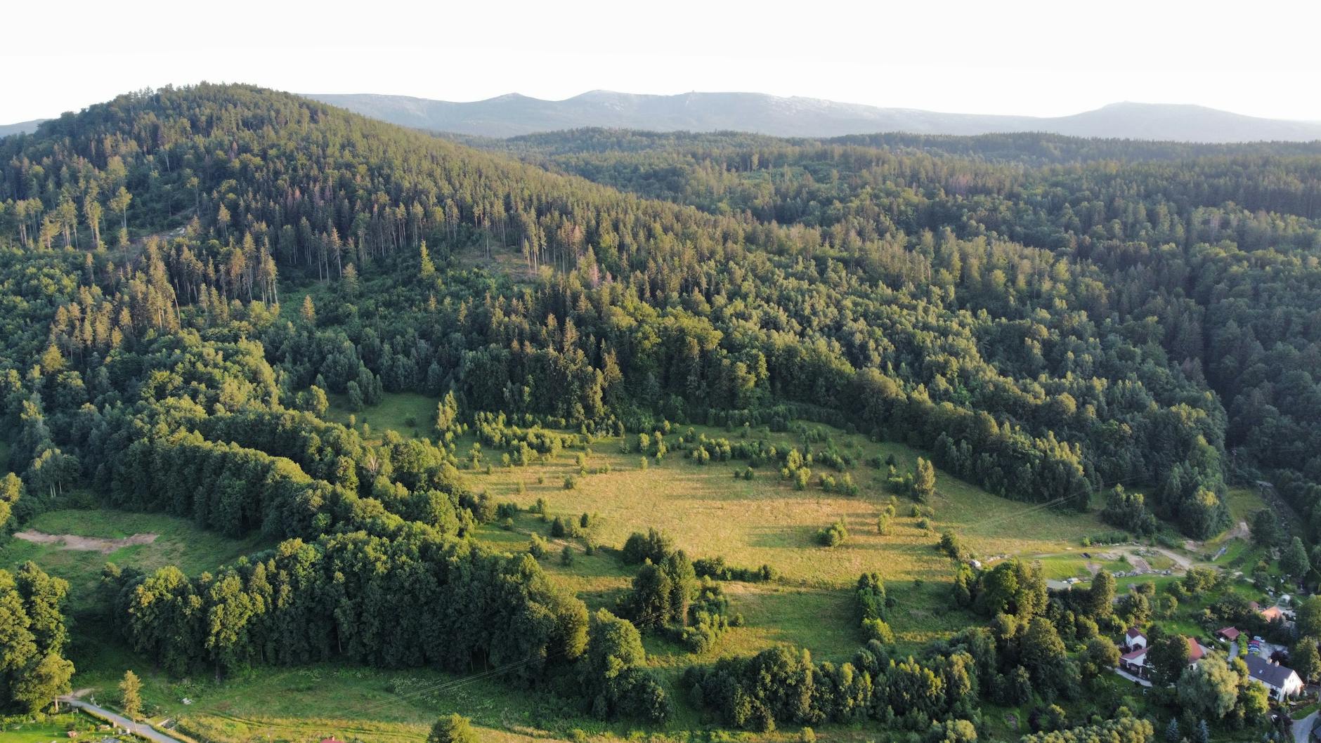 Gozdnica wita Zielone Świątki: Tradycje i świętowanie nad Nysą